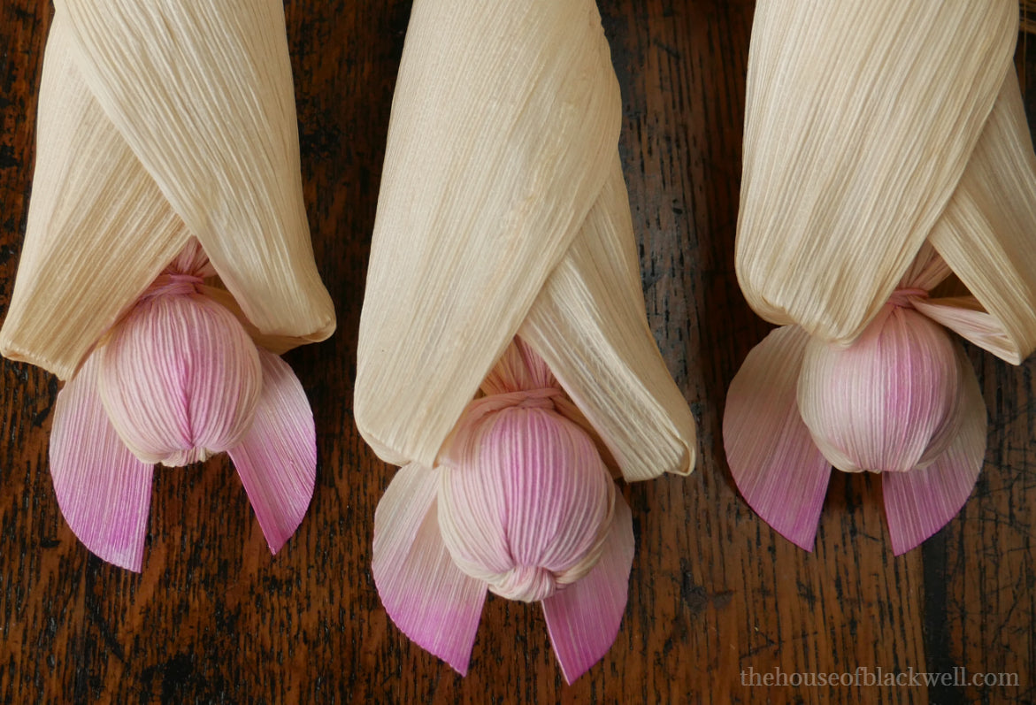 Blushed Corn Husk Bat
