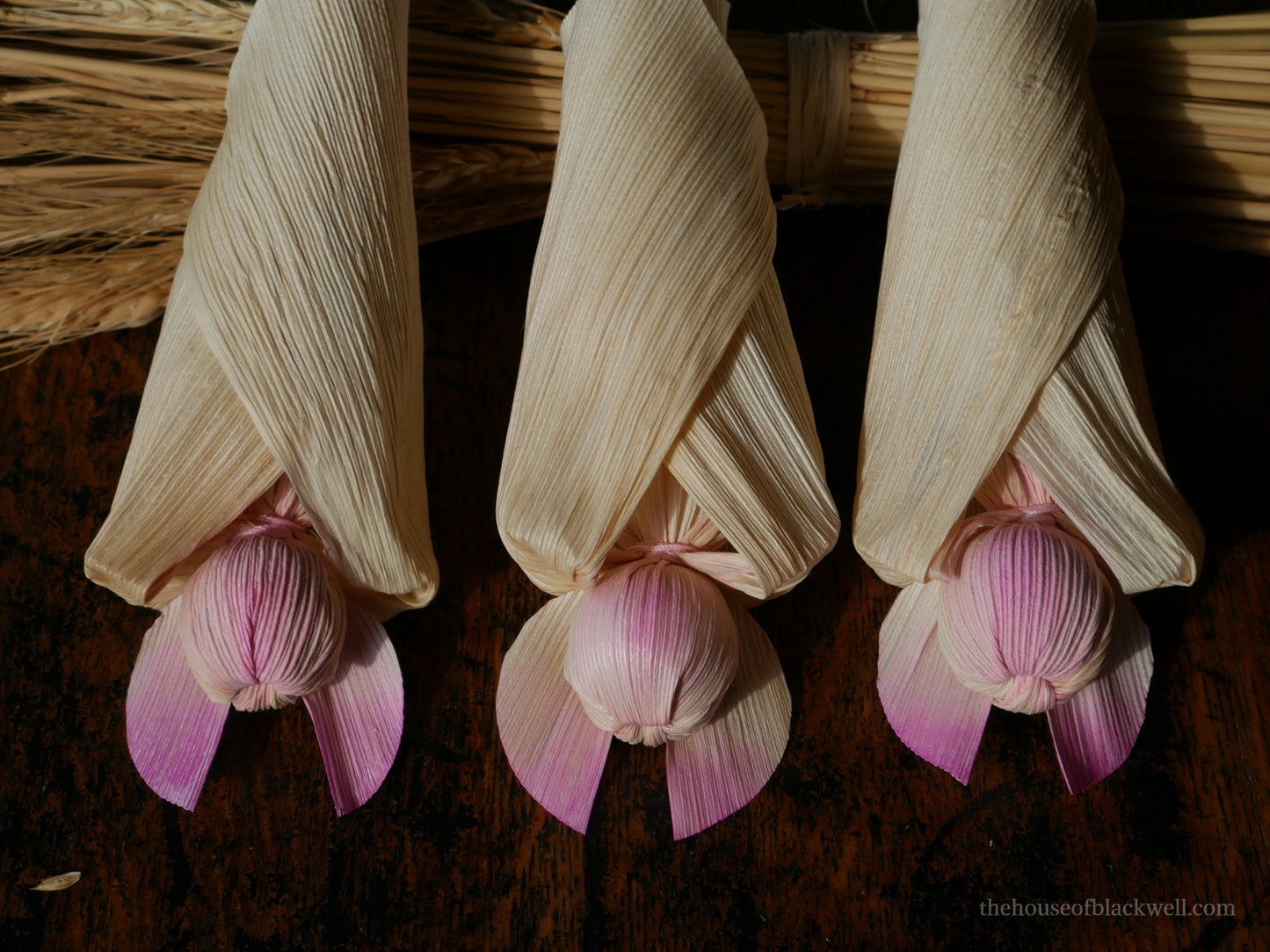 Blushed Corn Husk Bat