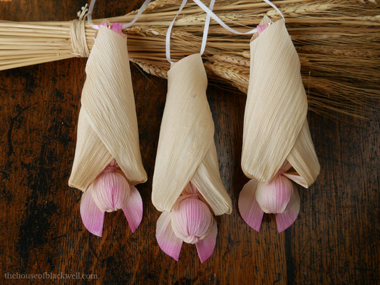 Blushed Corn Husk Bat
