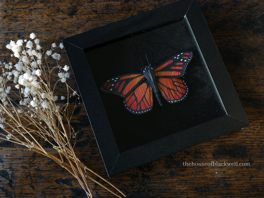 Corn Husk Monarch Butterfly